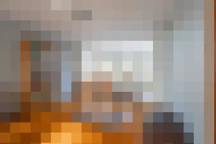 Diependaalstraat 70 Stein thumbnail 8