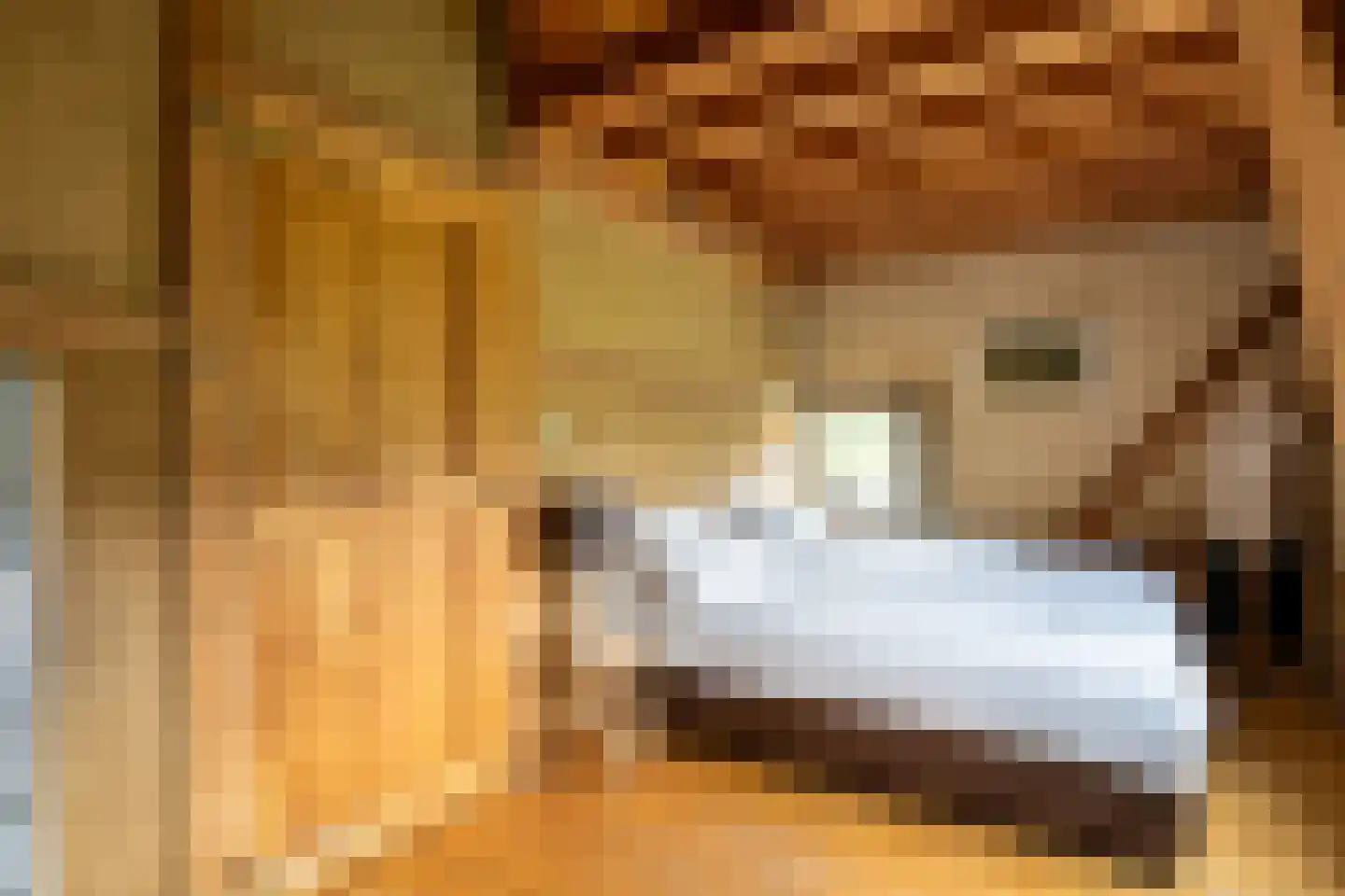 Diependalsweg 8 Epen thumbnail 12