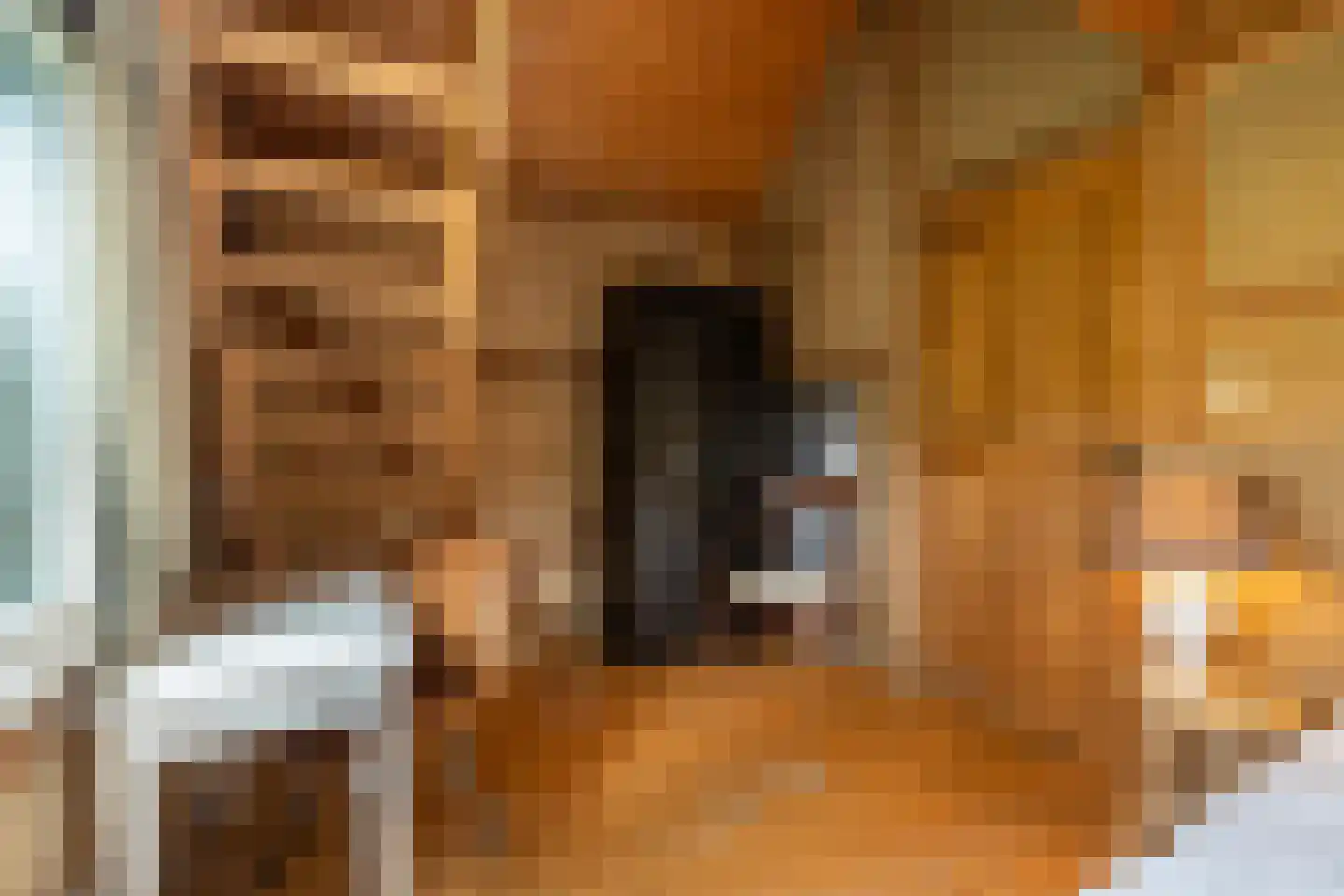 Diependalsweg 8 Epen thumbnail 12