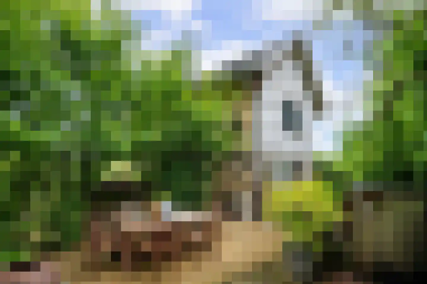 Diependalsweg 8 Epen thumbnail 18