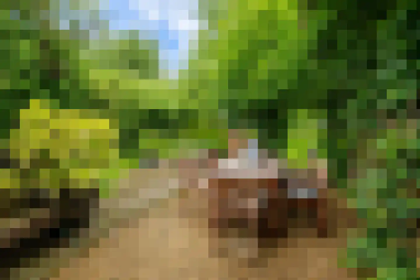 Diependalsweg 8 Epen thumbnail 19