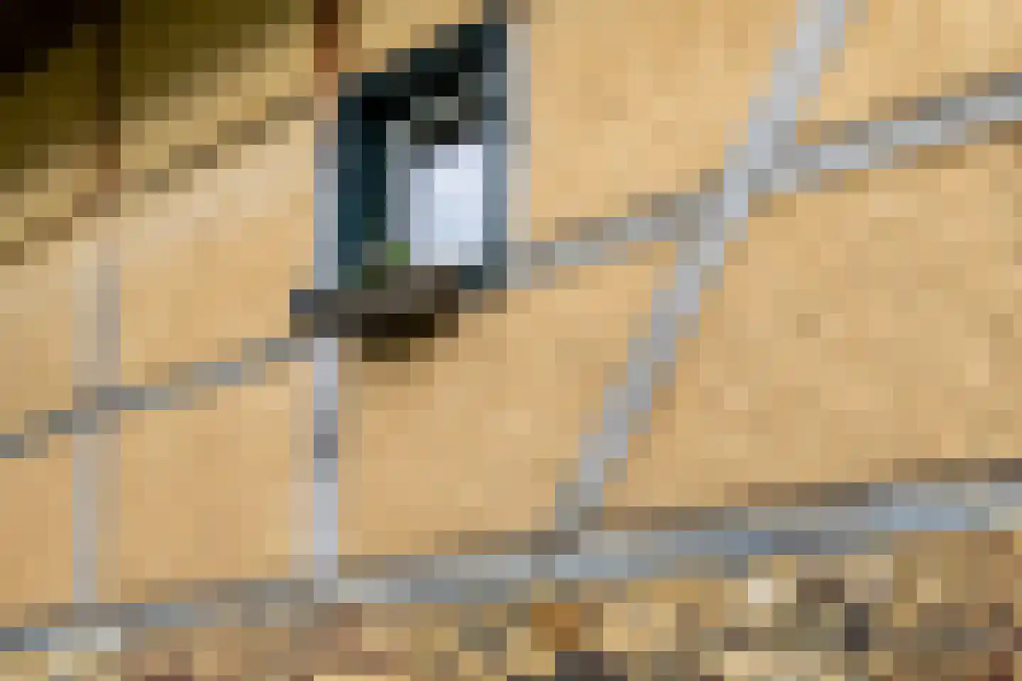 Diependalsweg 8 Epen thumbnail 21