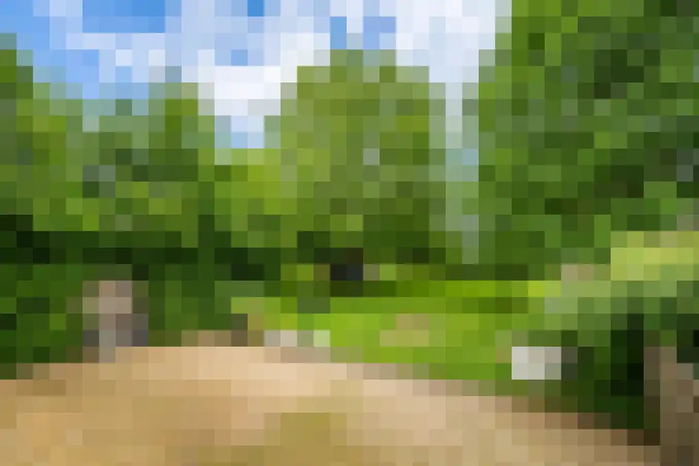 Diependalsweg 8 Epen thumbnail 22