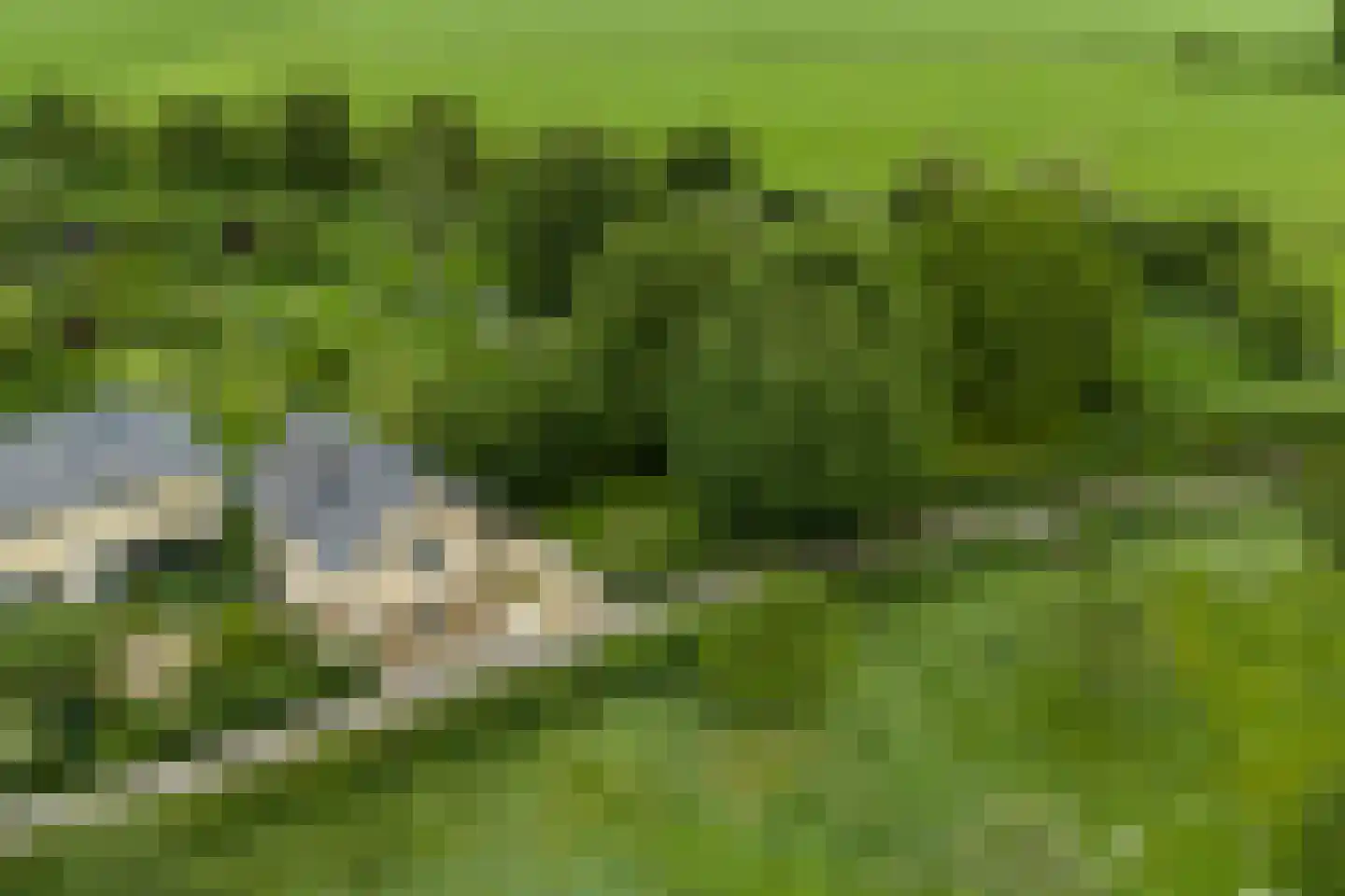 Diependalsweg 8 Epen thumbnail 27