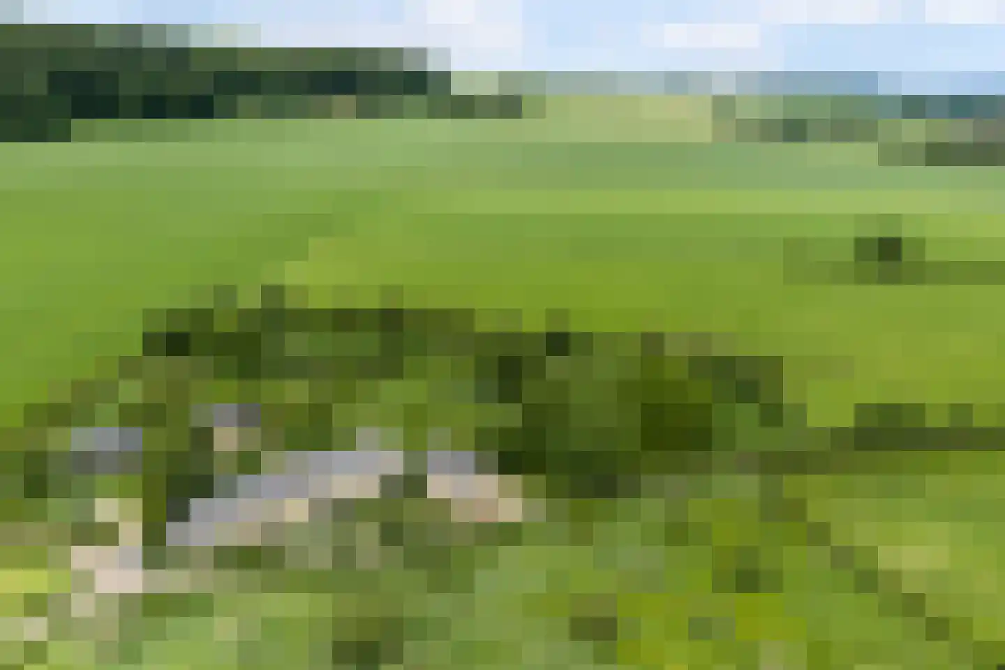 Diependalsweg 8 Epen thumbnail 28