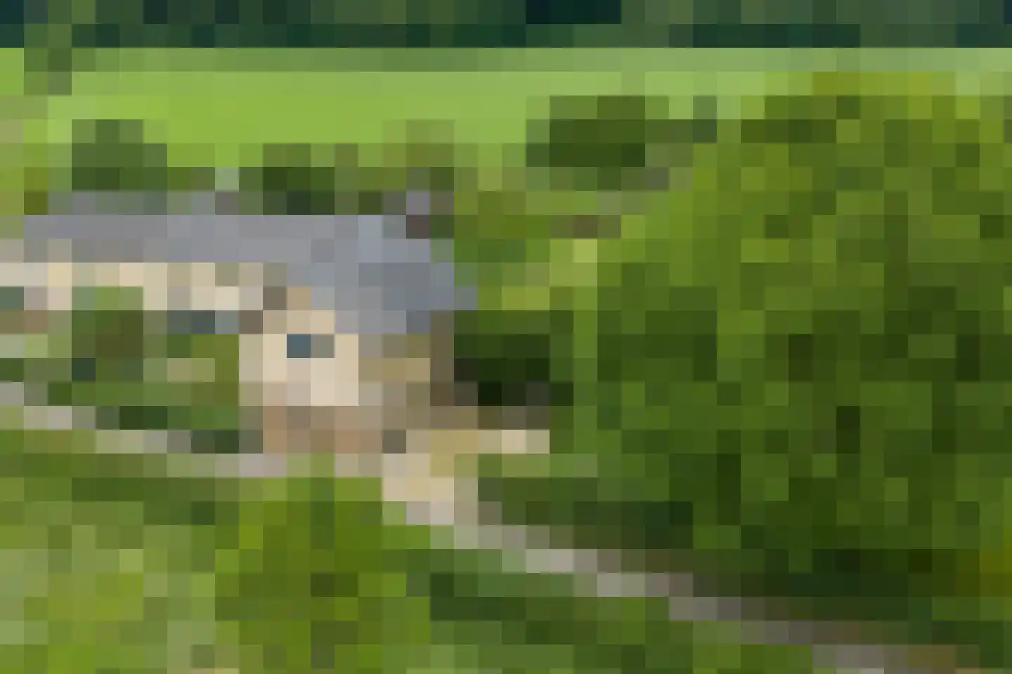 Diependalsweg 8 Epen thumbnail 29