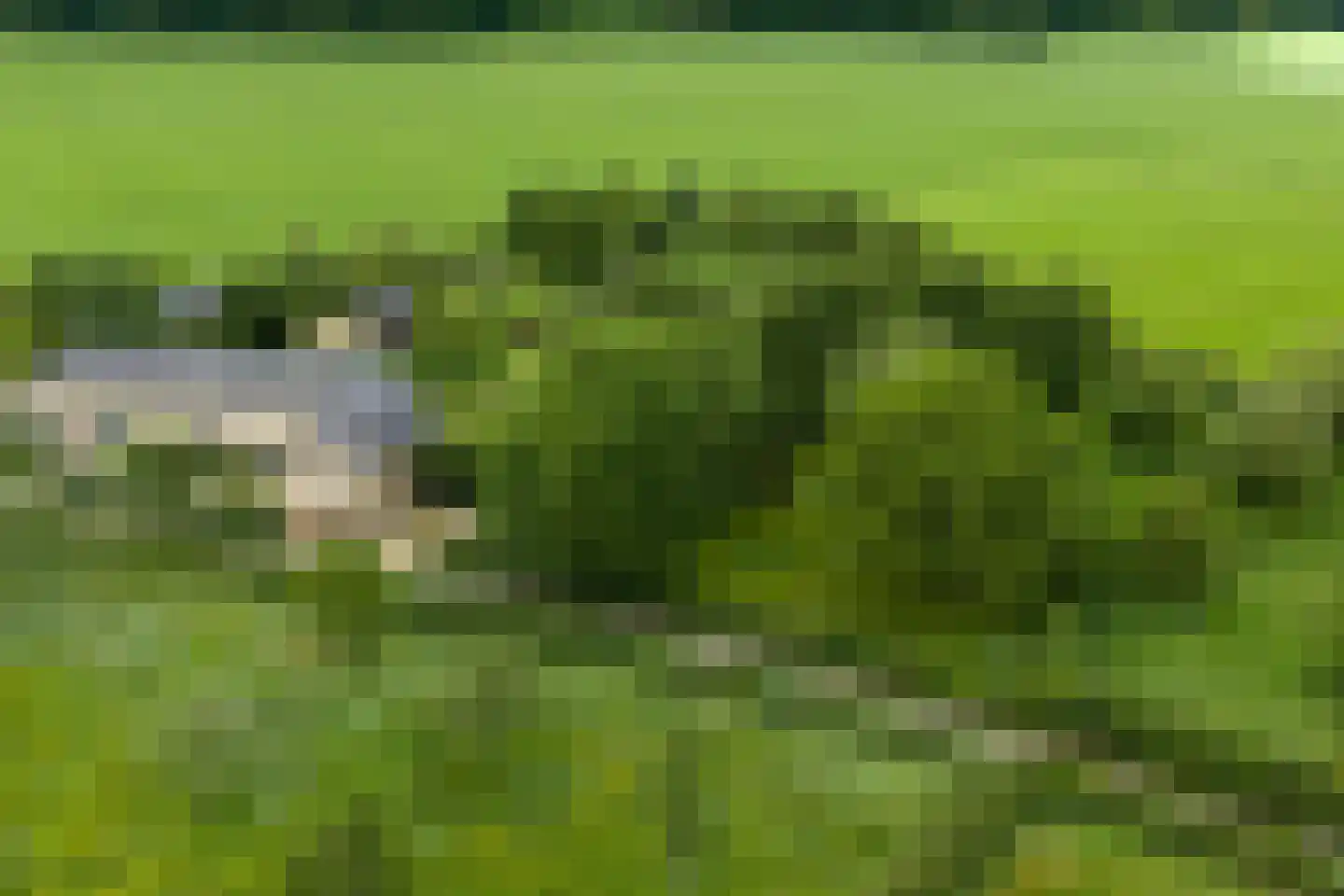 Diependalsweg 8 Epen thumbnail 30