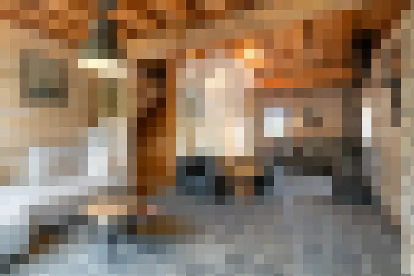 Diependalsweg 8 Epen thumbnail 4