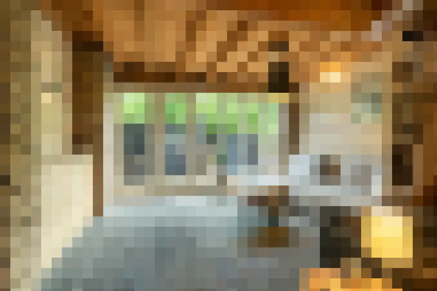 Diependalsweg 8 Epen thumbnail 6