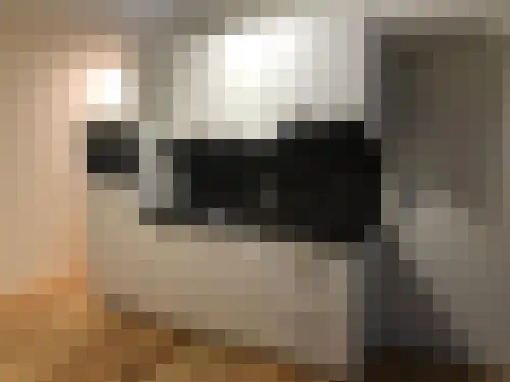 Diependijkstraat 2 Venlo thumbnail 5