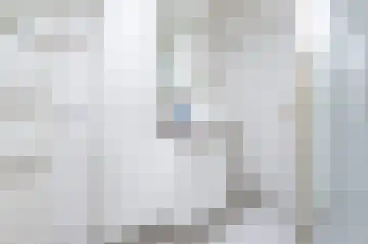 Diependorst 111 Ouddorp thumbnail 23