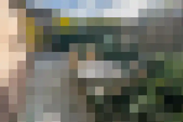 Diependorst 111 Ouddorp thumbnail 26