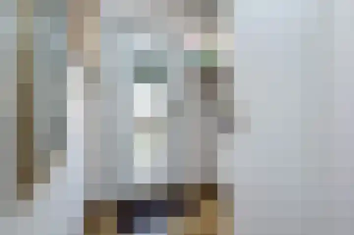 Diependorst 111 Ouddorp thumbnail 5
