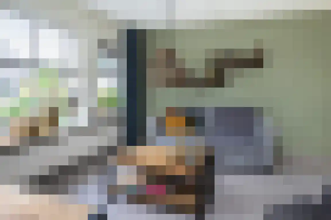 Diependorst 114 Ouddorp thumbnail 10