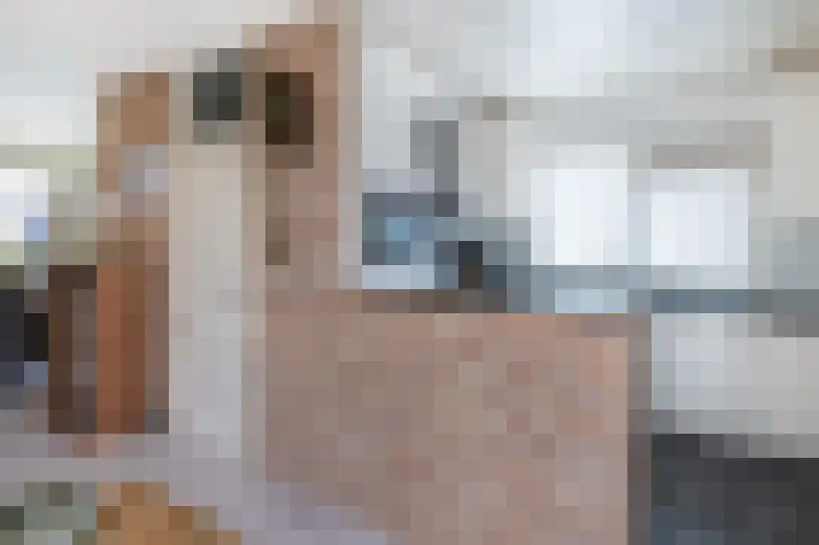 Diependorst 114 Ouddorp thumbnail 17