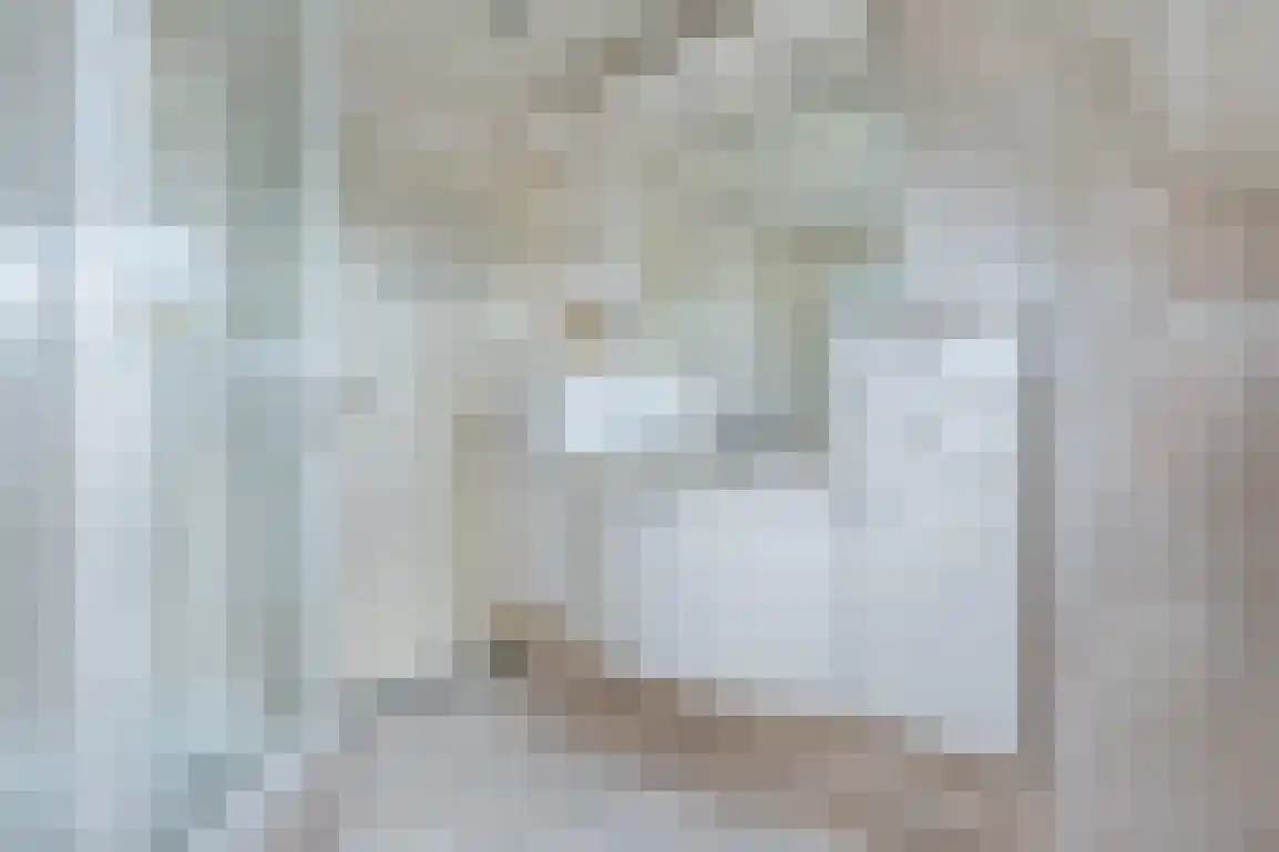 Diependorst 114 Ouddorp thumbnail 24