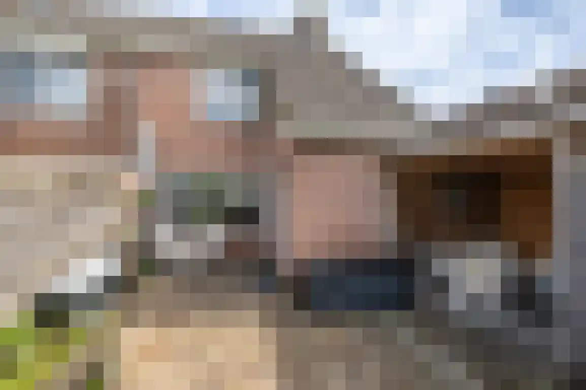 Diependorst 114 Ouddorp thumbnail 27