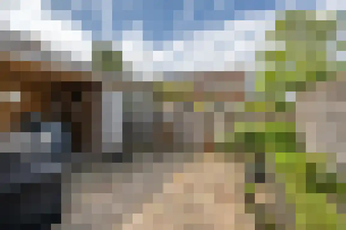 Diependorst 114 Ouddorp thumbnail 28
