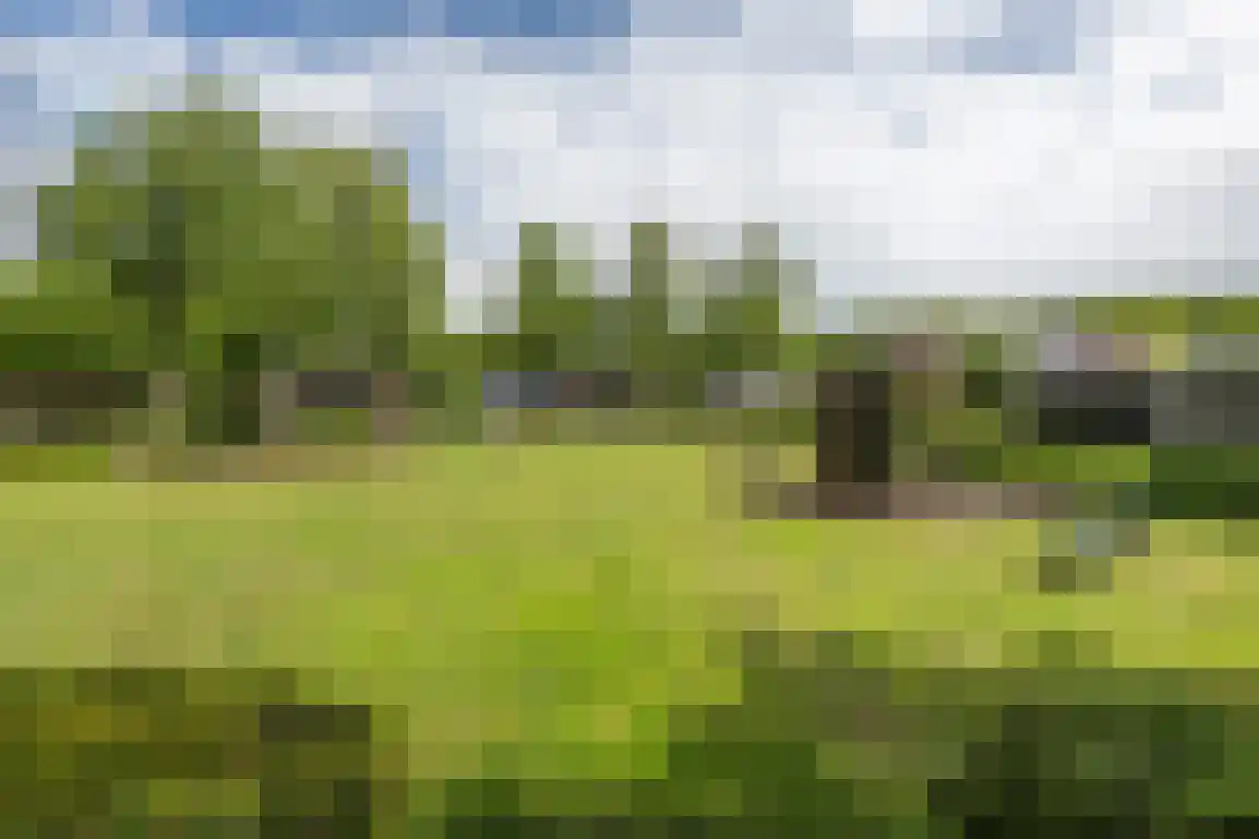 Diependorst 114 Ouddorp thumbnail 31