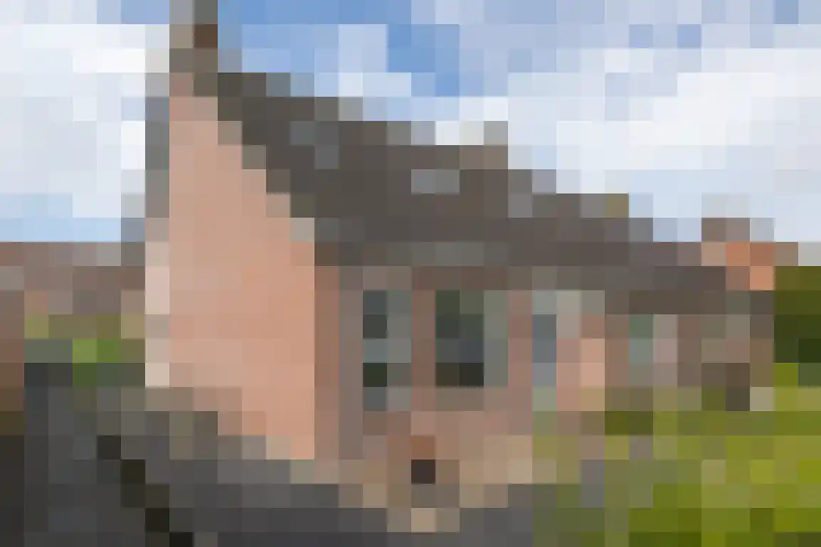 Diependorst 114 Ouddorp thumbnail 4