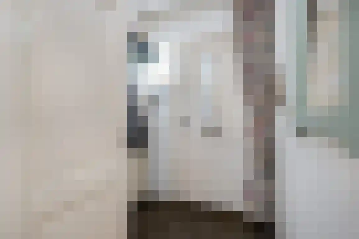 Diependorst 114 Ouddorp thumbnail 5