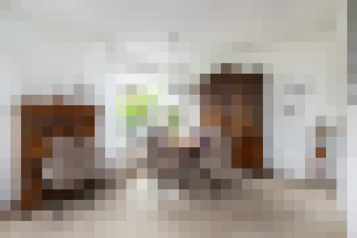 Diependorst 166 Ouddorp thumbnail 13