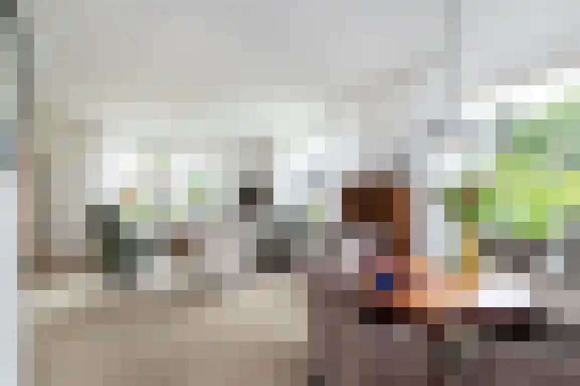 Diependorst 166 Ouddorp thumbnail 14