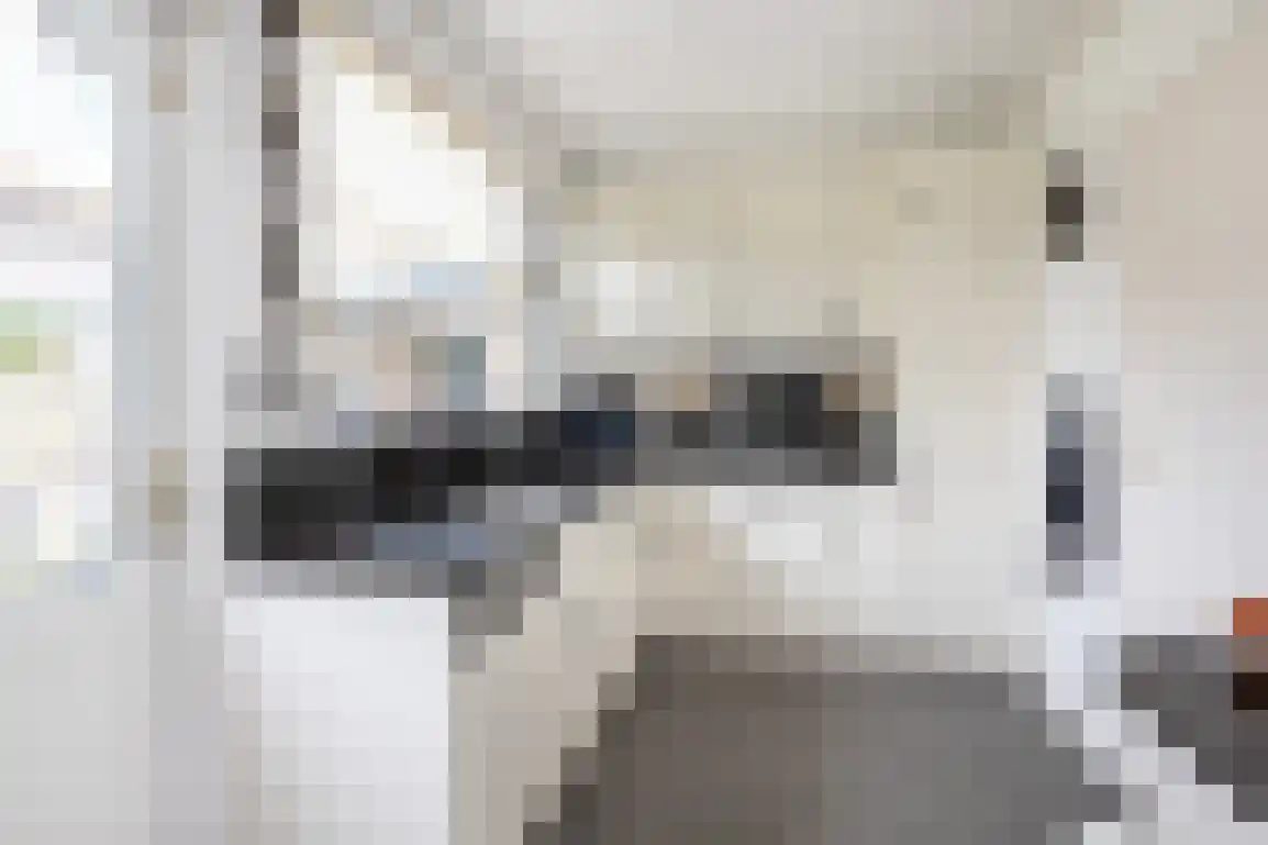 Diependorst 166 Ouddorp thumbnail 15