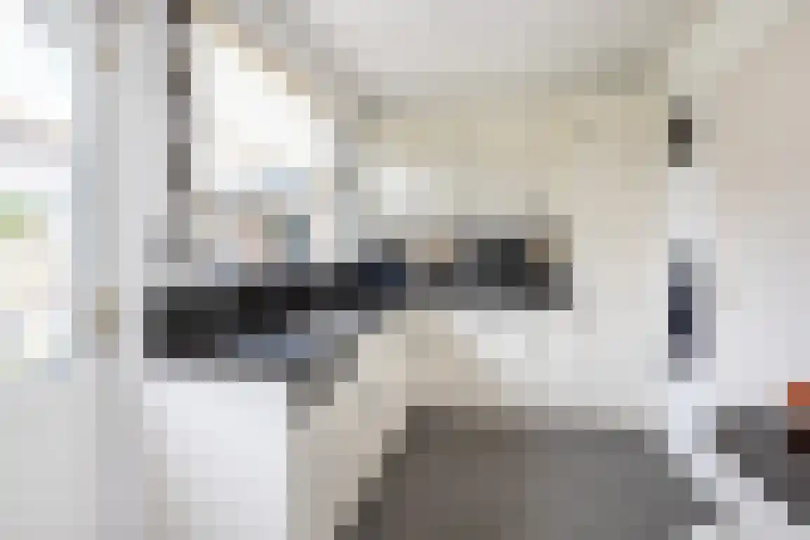 Diependorst 166 Ouddorp thumbnail 15