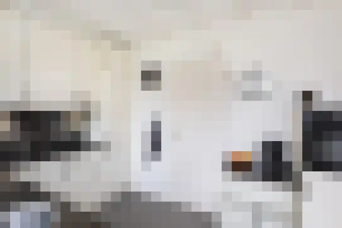 Diependorst 166 Ouddorp thumbnail 16