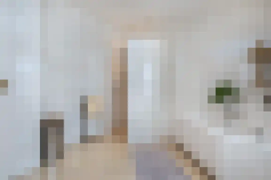 Diependorst 166 Ouddorp thumbnail 22