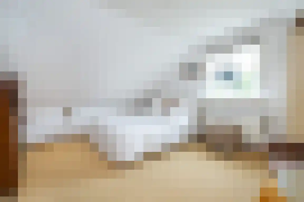 Diependorst 166 Ouddorp thumbnail 27