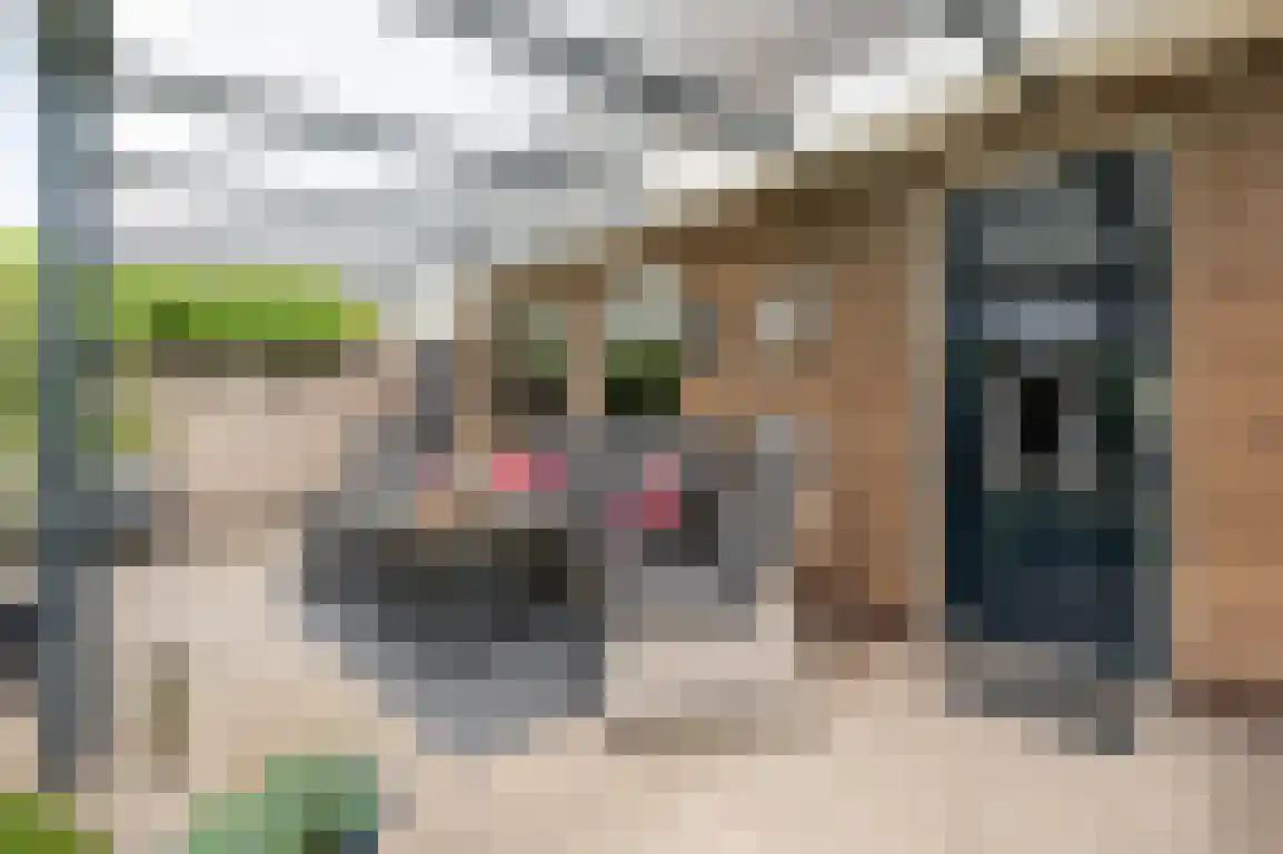 Diependorst 166 Ouddorp thumbnail 31