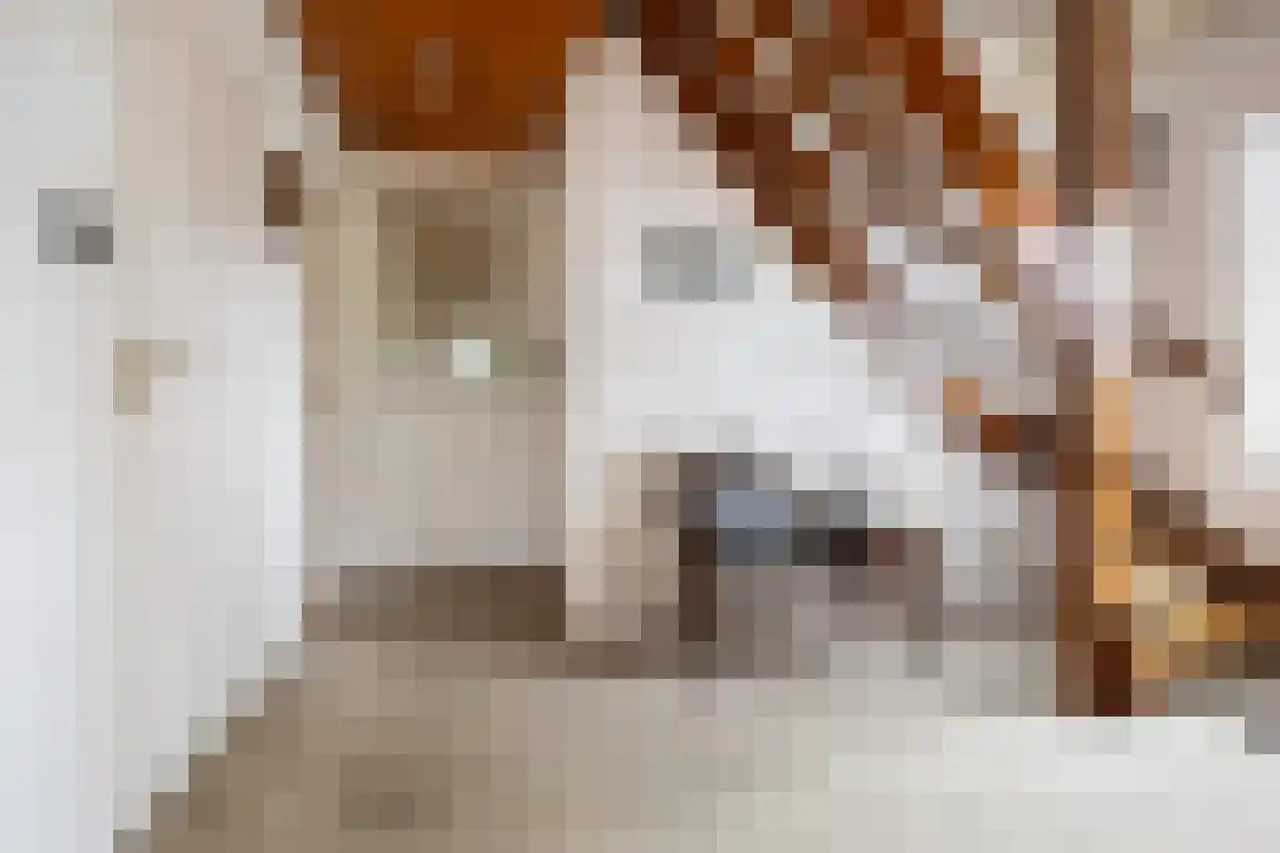Diependorst 166 Ouddorp thumbnail 5