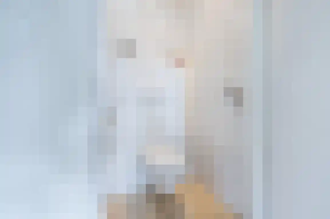 Diependorst 166 Ouddorp thumbnail 8