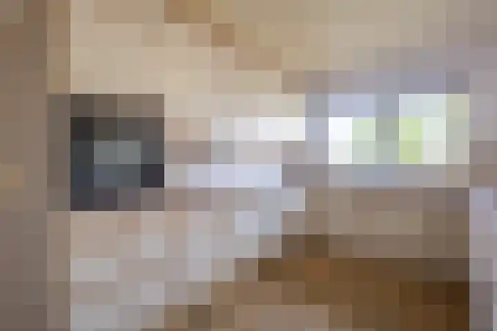 Diepenheimsestraat 18 Hengevelde thumbnail 10