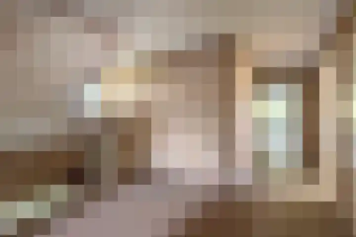 Diepenheimsestraat 18 Hengevelde thumbnail 28