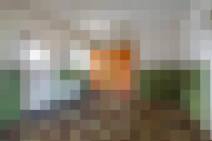 Diepenheimsestraat 18 Hengevelde thumbnail 29
