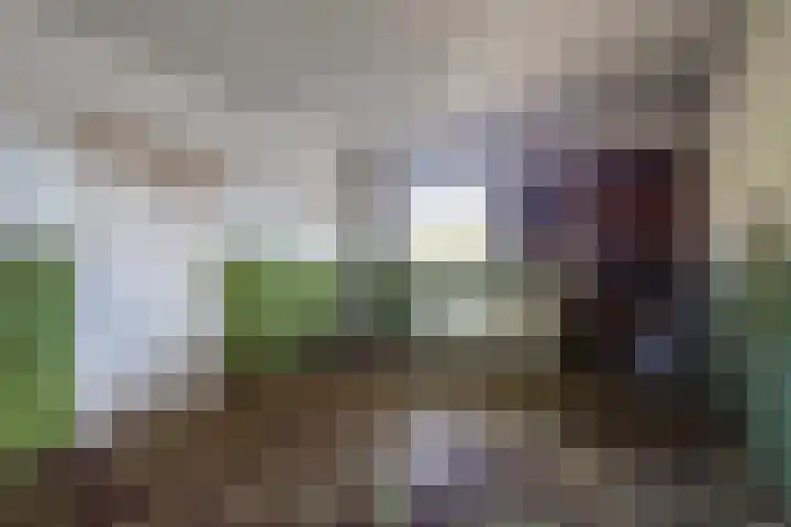 Diepenheimsestraat 18 Hengevelde thumbnail 30