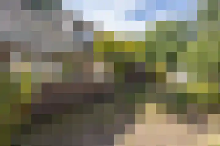 Diepenheimsestraat 18 Hengevelde thumbnail 33