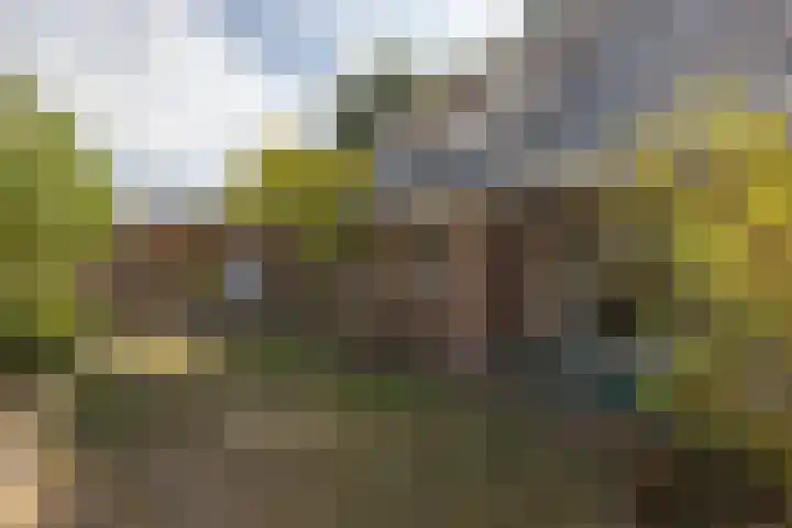Diepenheimsestraat 18 Hengevelde thumbnail 34