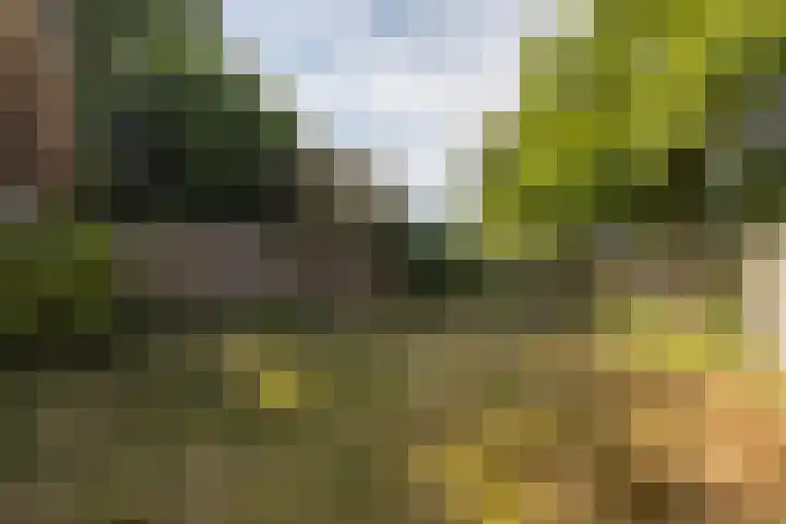 Diepenheimsestraat 18 Hengevelde thumbnail 35