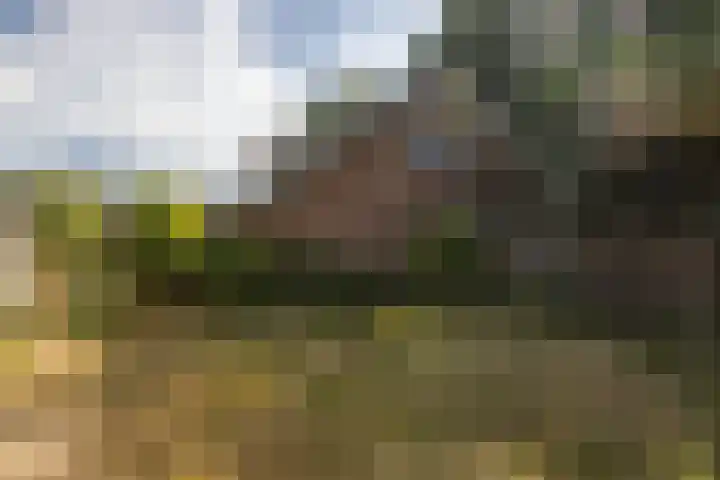 Diepenheimsestraat 18 Hengevelde thumbnail 36