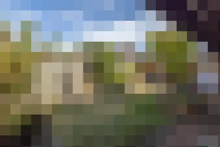 Diepenheimsestraat 18 Hengevelde thumbnail 37