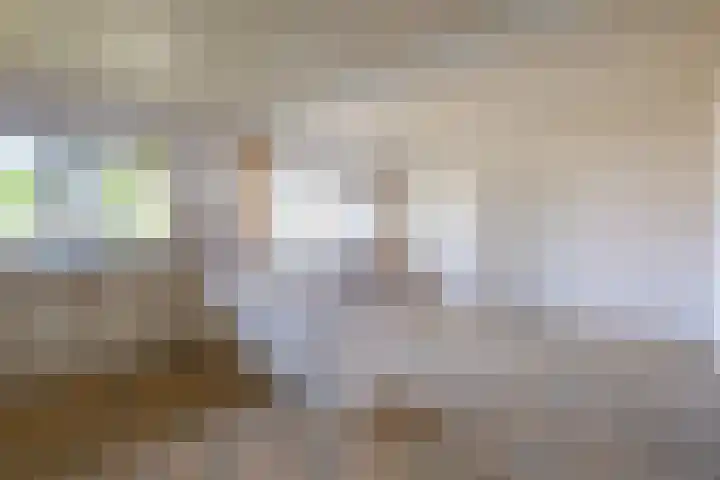 Diepenheimsestraat 18 Hengevelde thumbnail 9