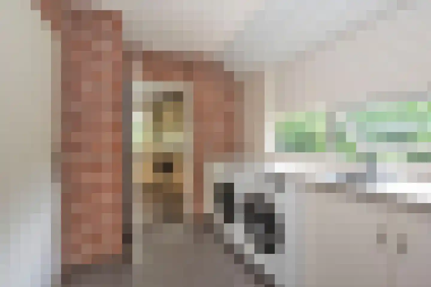 Diepenheimsestraat 47 a Hengevelde thumbnail 23