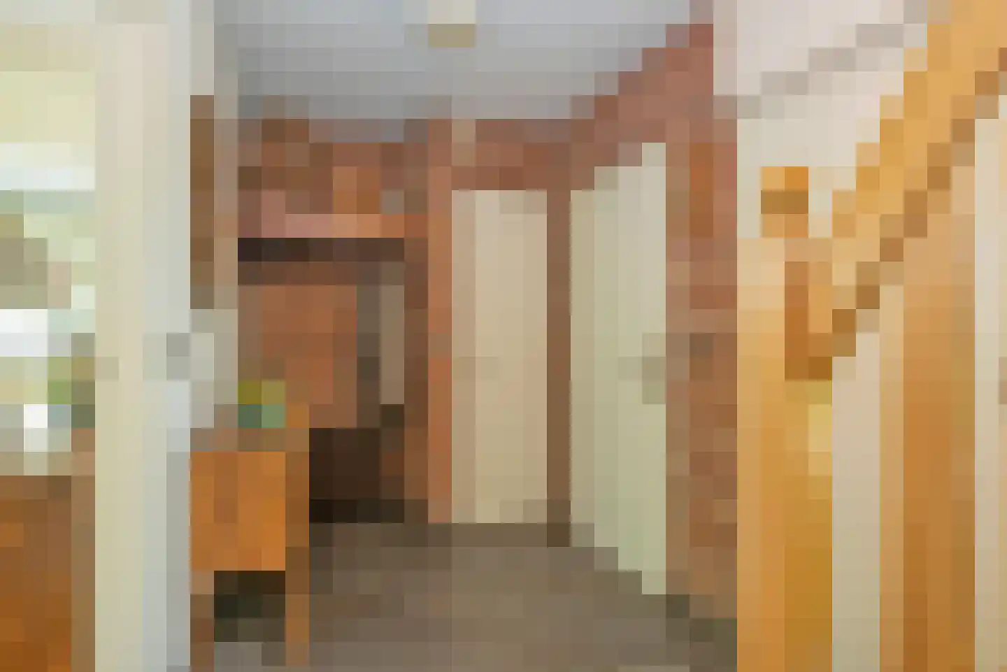 Diepenheimsestraat 47 a Hengevelde thumbnail 7