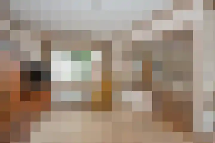 Diepenheimsestraat 6 Hengevelde thumbnail 11