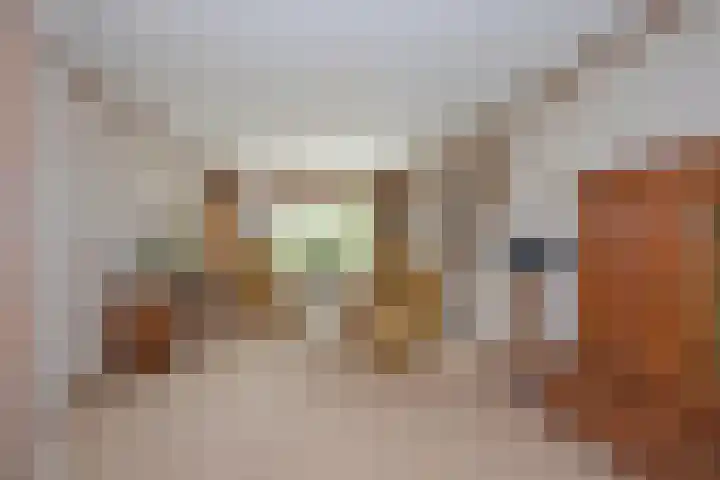 Diepenheimsestraat 6 Hengevelde thumbnail 12