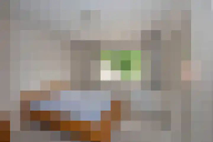 Diepenheimsestraat 6 Hengevelde thumbnail 18